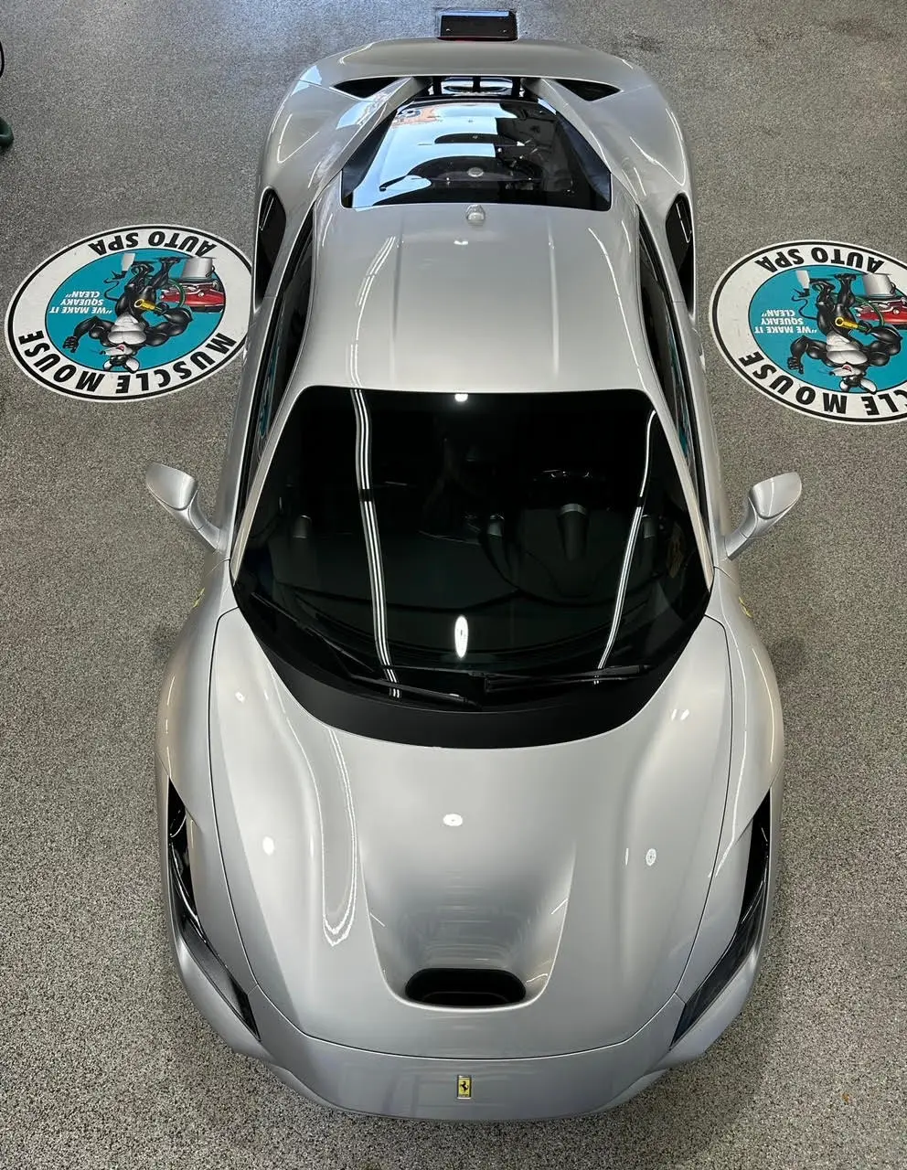 silver ferrari